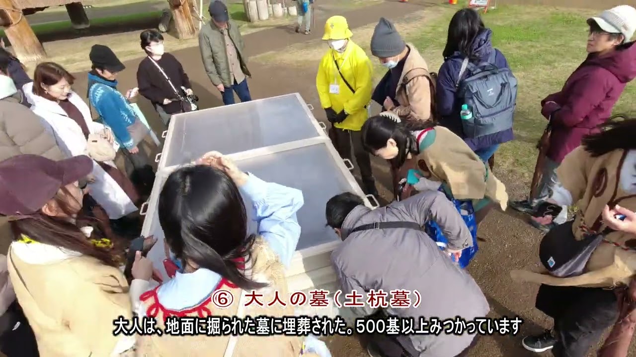 三内丸山遺跡探訪　2024.11.17