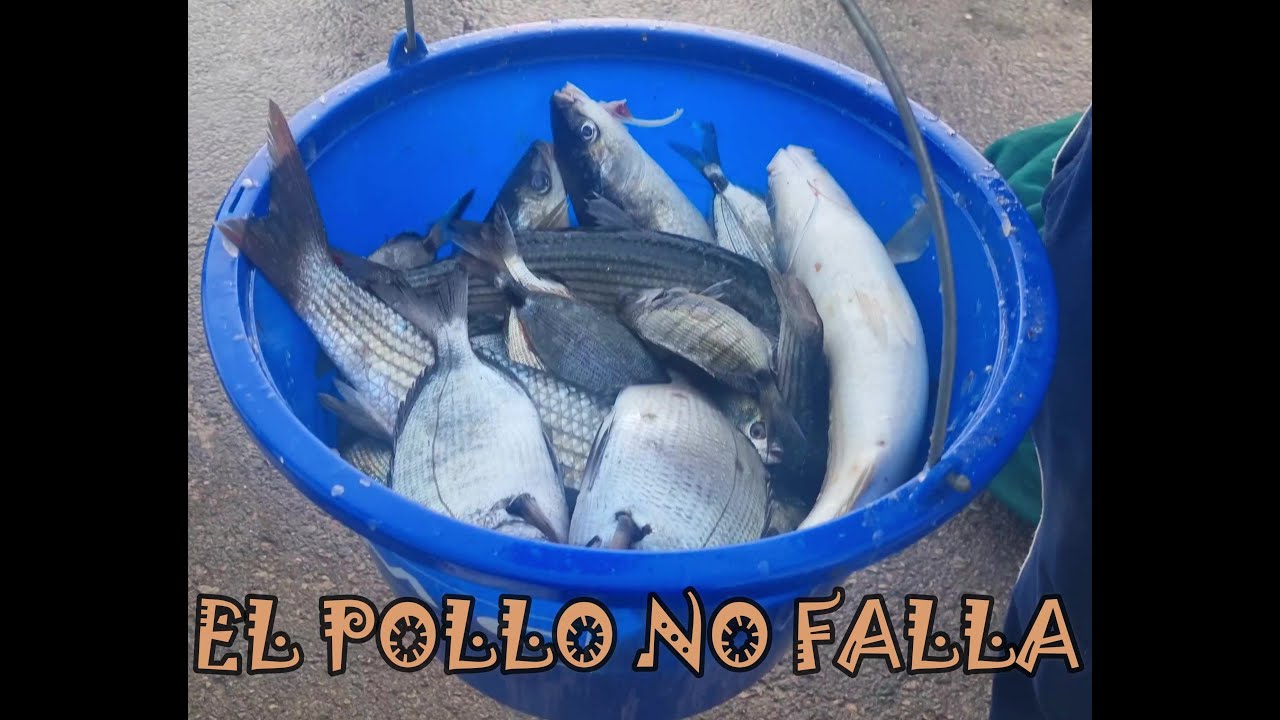 CONCURSO EN SANTA LUCIA NOCTURNO