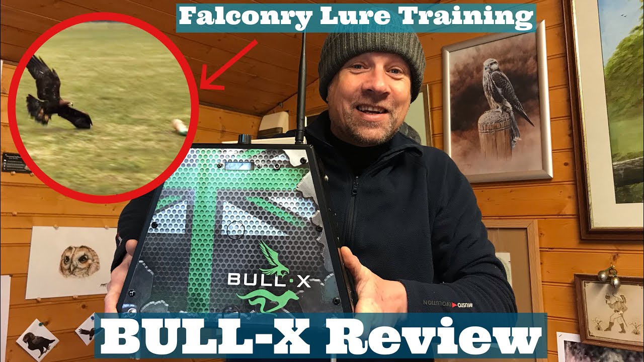 Falconry Lure Machines & Their Uses, HOW TO Lure Training in Falconry, Bull-X Lure Machine Review