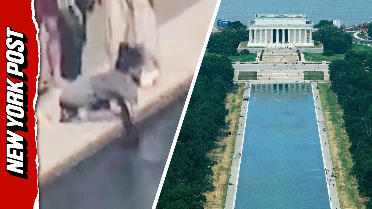 Reflecting Pool Vandalism: Police Release Footage of Suspect Seen Dipping Hand into Water