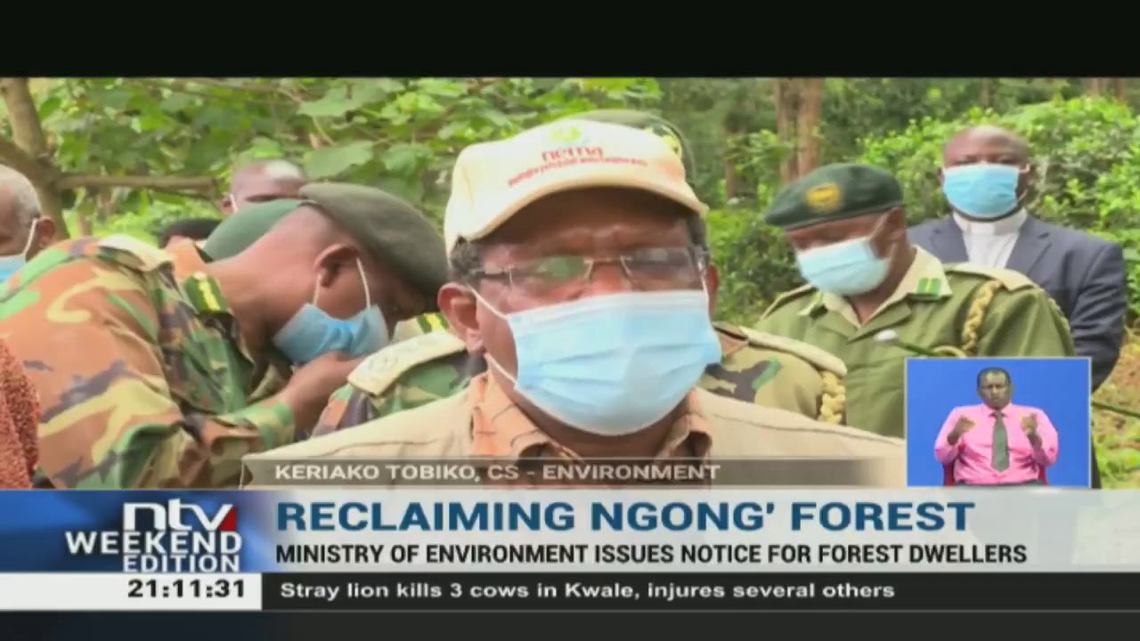 Reclaiming Ngong': Govt plans to connect Ngong' Forest to Nairobi National Park
