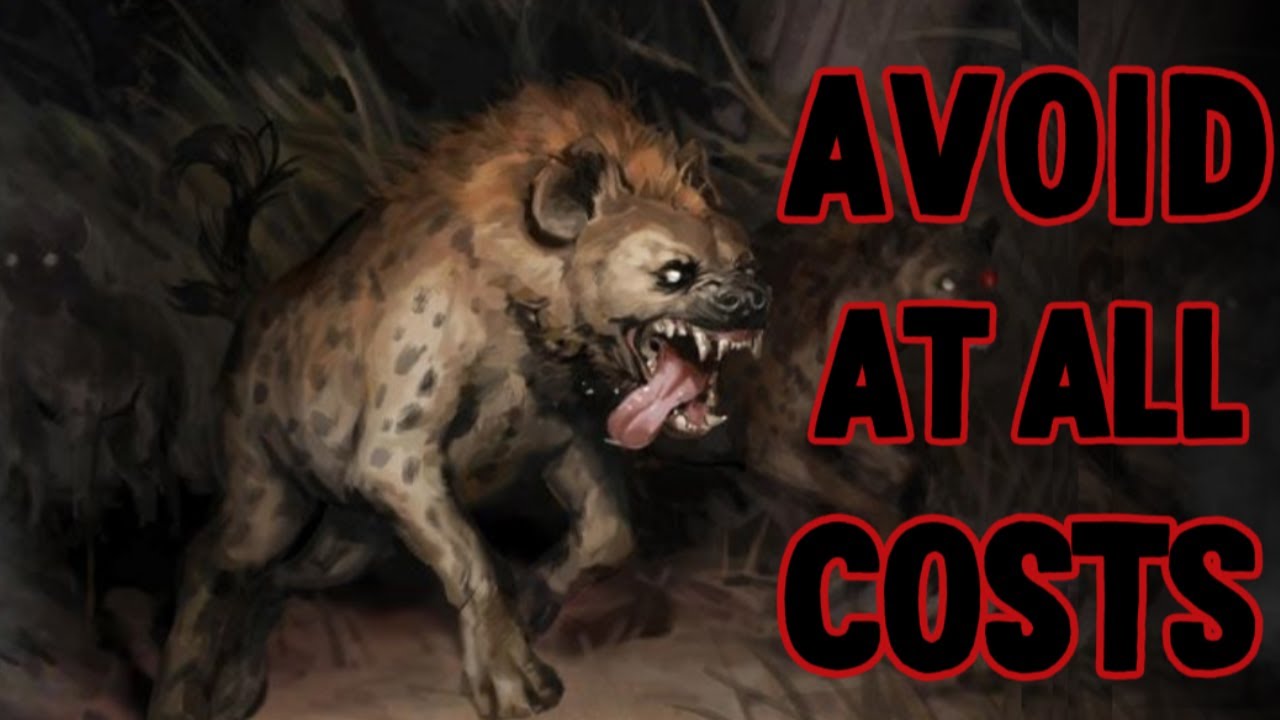 The Hyena LARGER than an African Lion