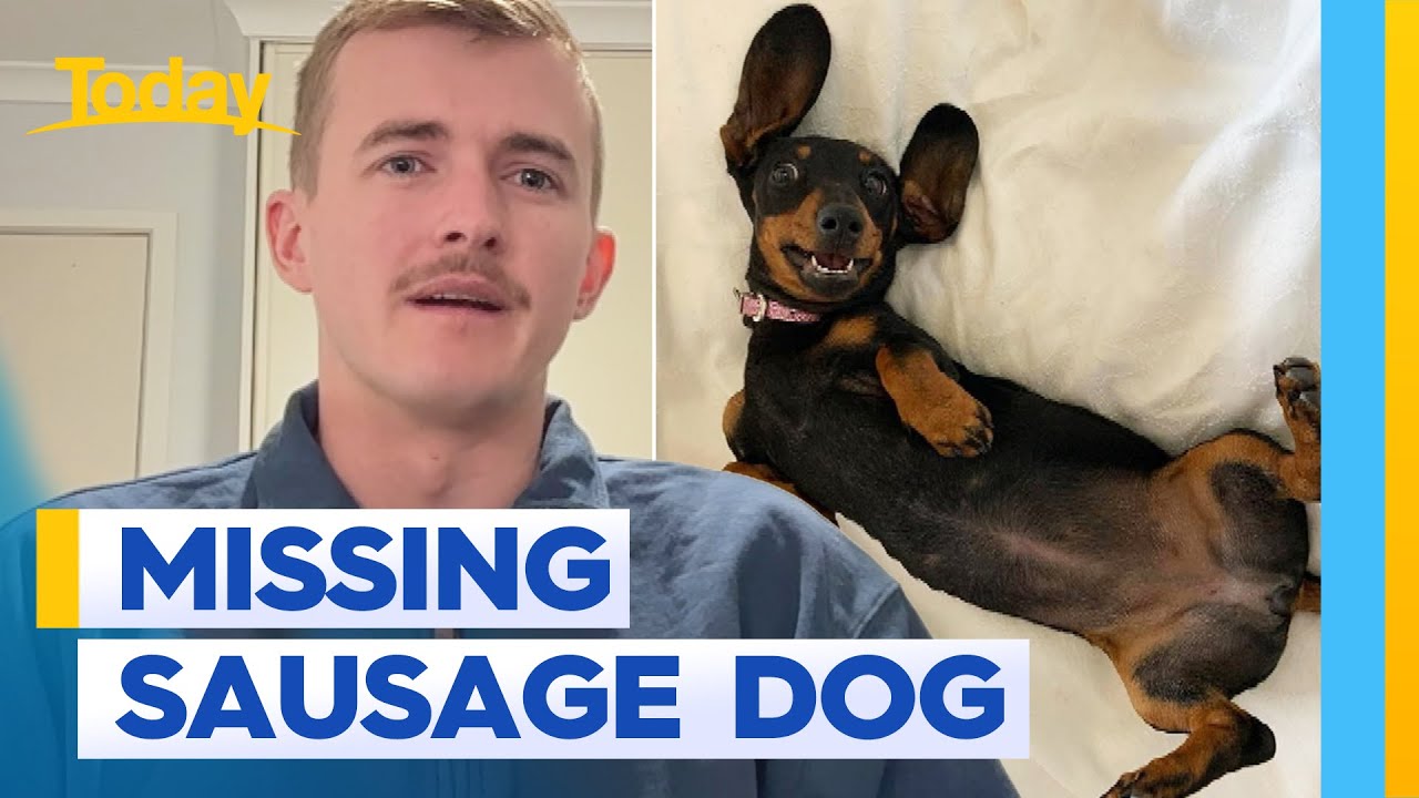 Pet dog missing on Kangaroo Island for 500 days | Today Show Australia