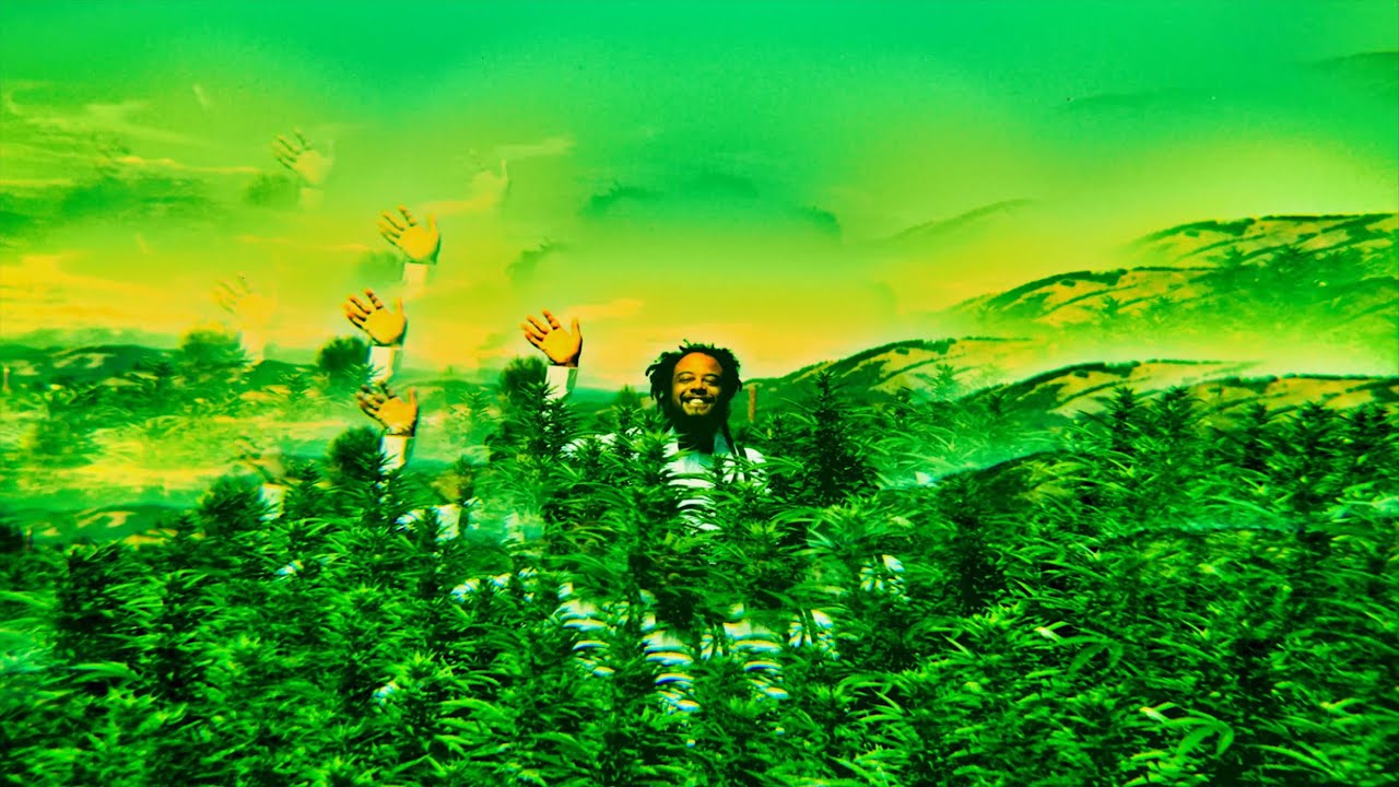 Myke Bogan - 