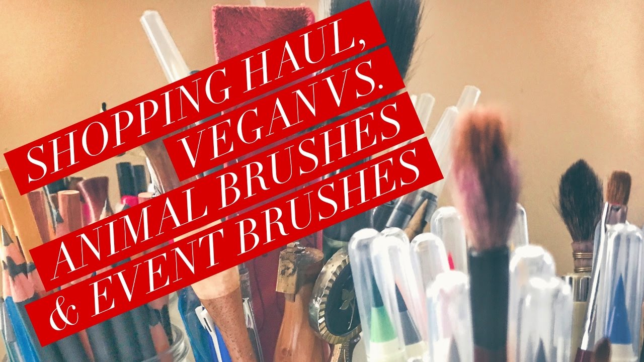 Art Supply Haul, Vegan Vs. Animal Brushes & Event Brushes