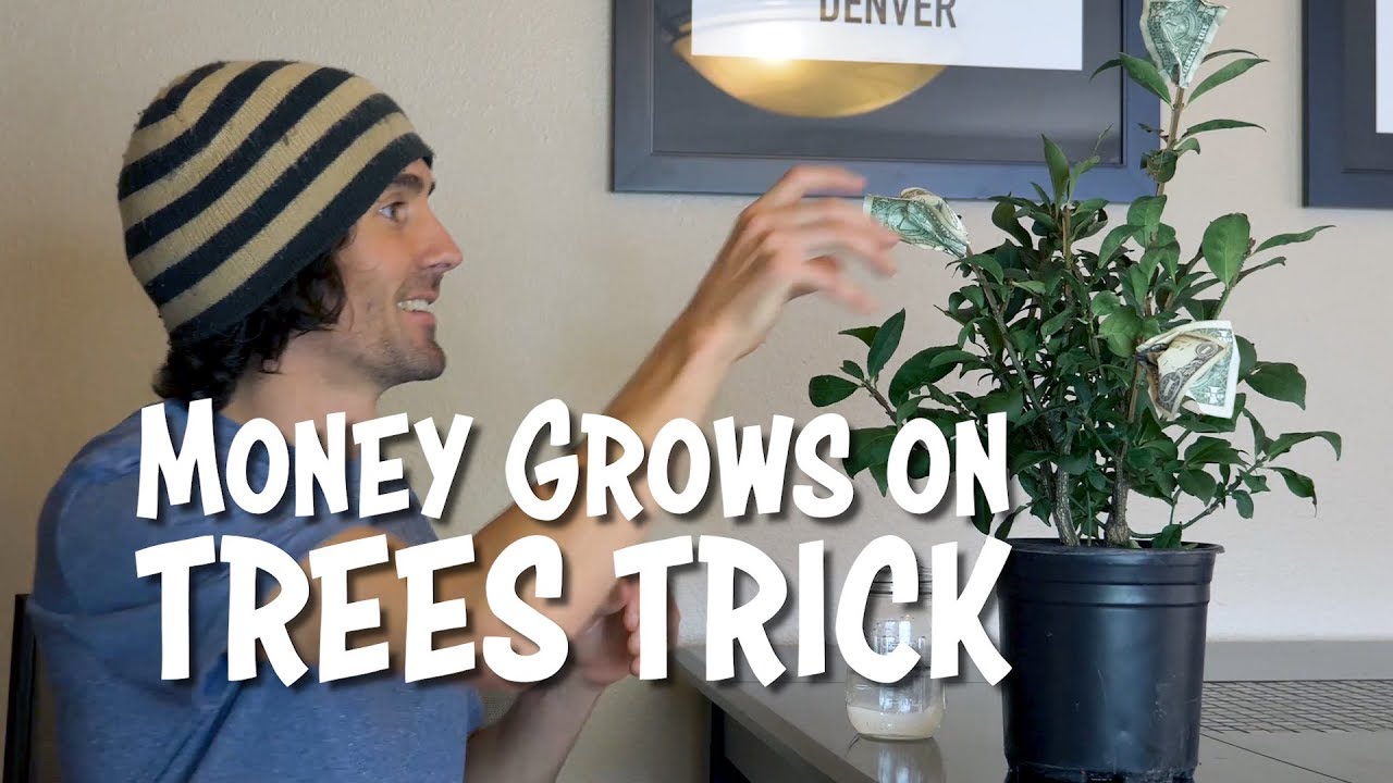 Money Growing Trick - Magic or Editing?
