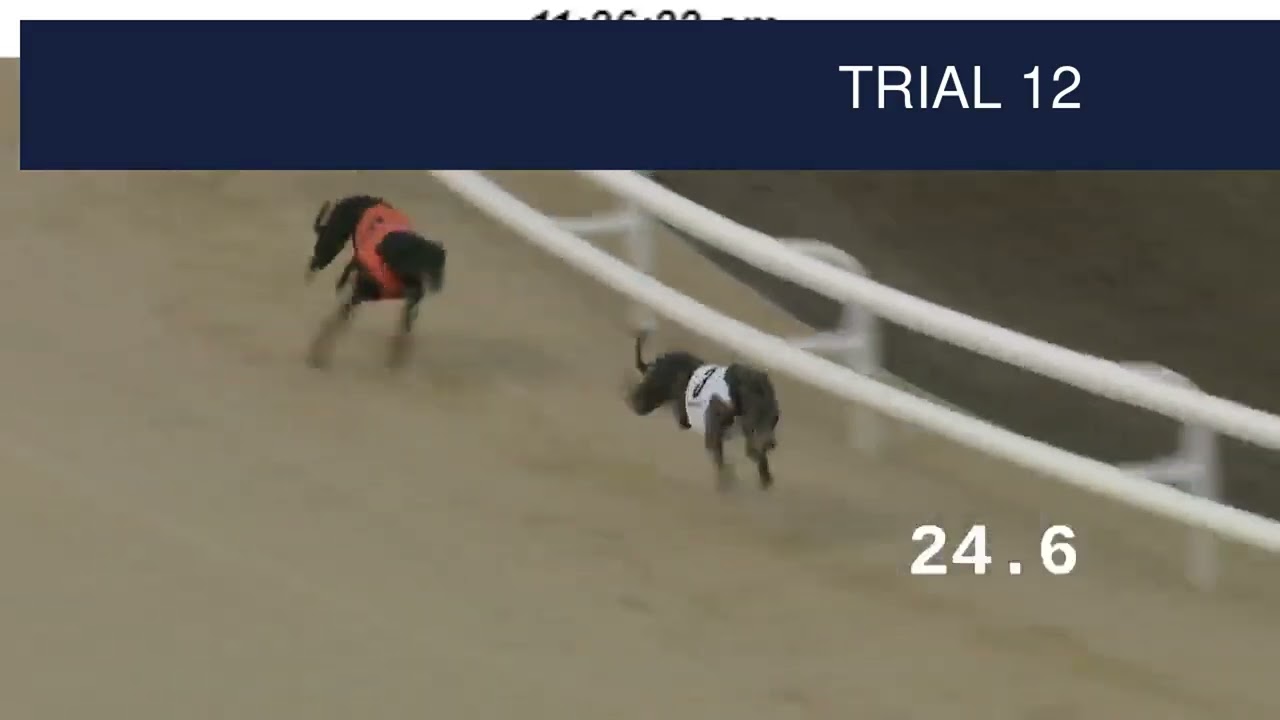 Dunstall Park Trials on 2nd September 2025