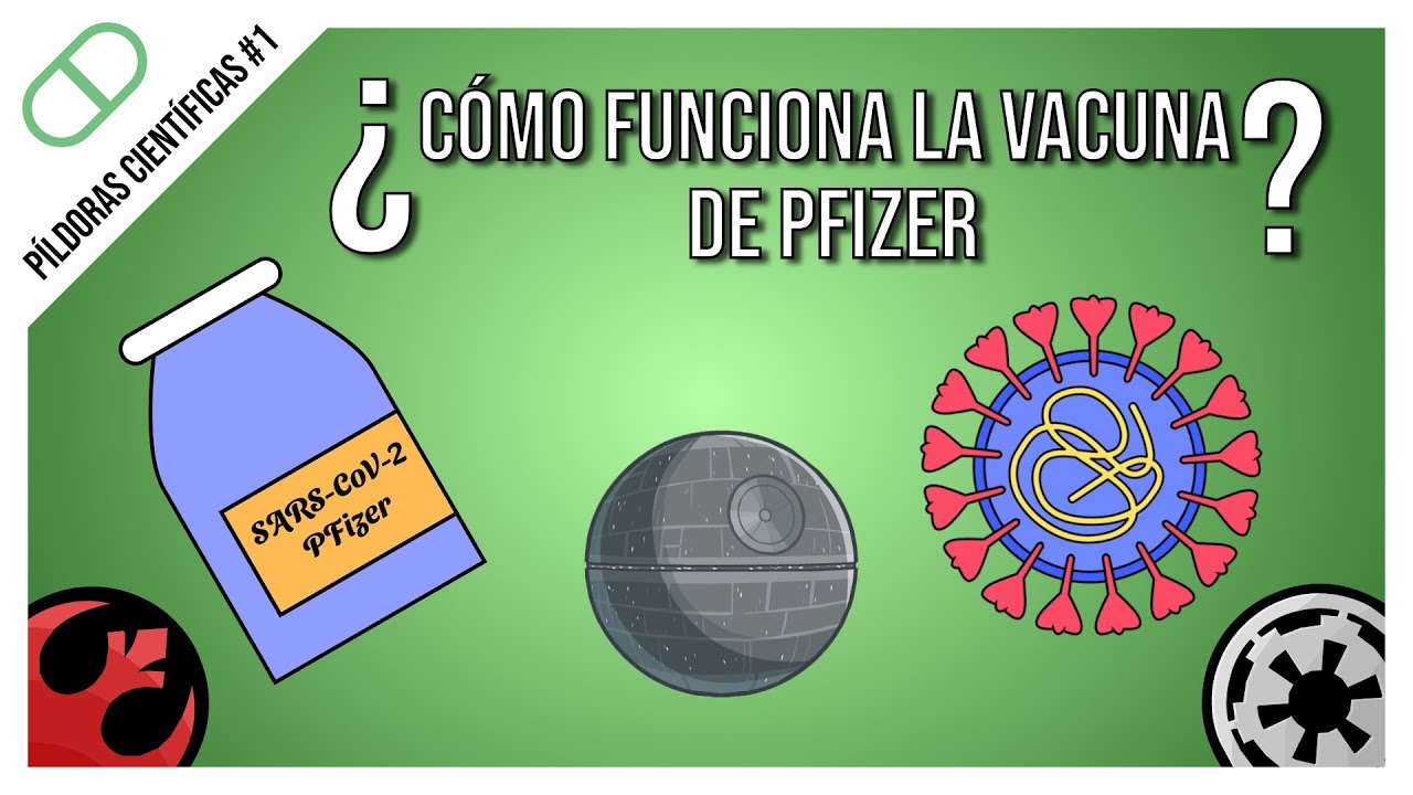 &iquest;C&Oacute;MO FUNCIONA la VACUNA de PFIZER? | P&iacute;ldoras cient&iacute;ficas #1