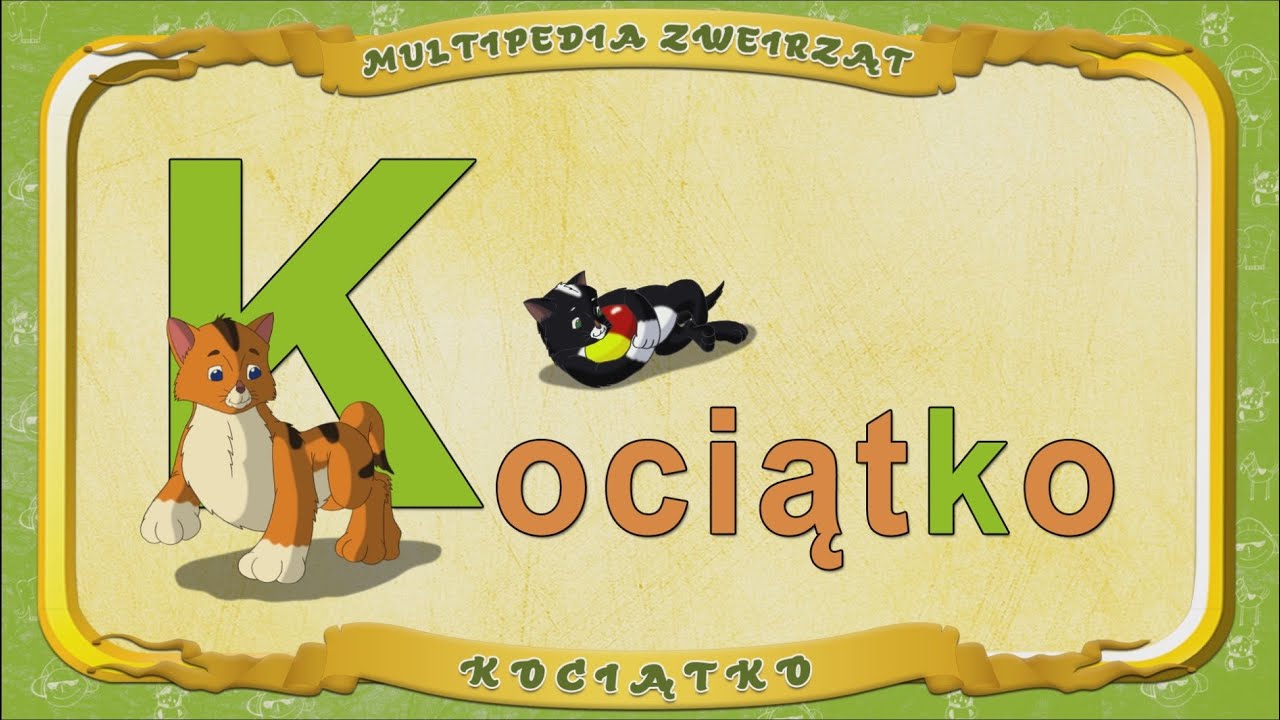 Multipedia Zwierząt. Litera K -  Kociątko