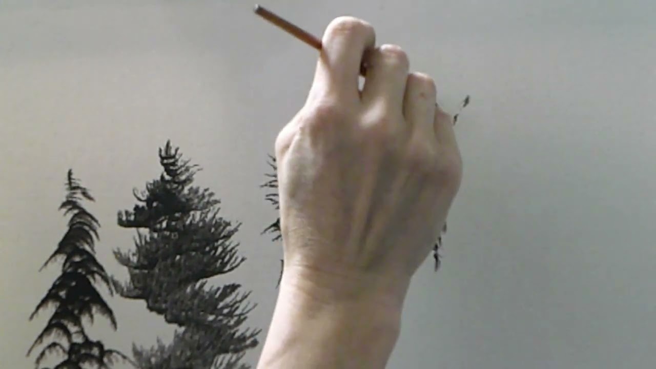 LESSON #1: PINE TREES AND PALM TREES