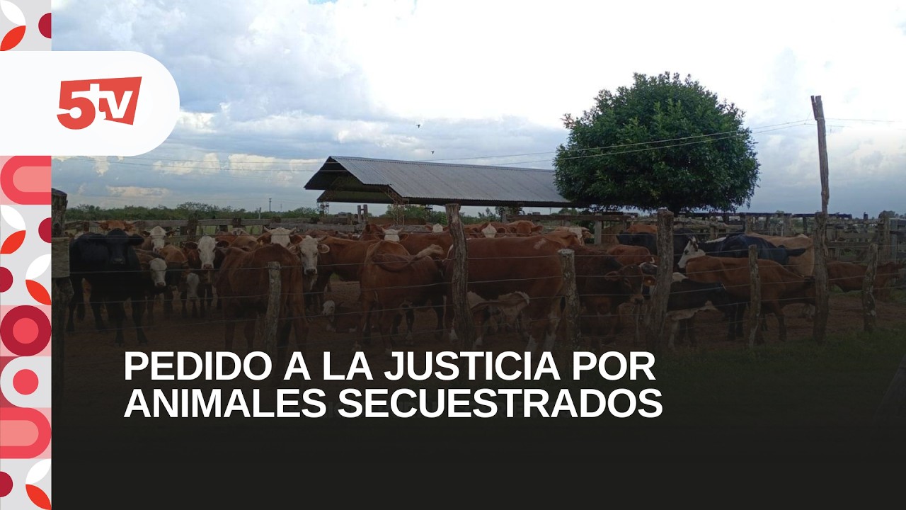 PEDIDO A LA JUSTICIA POR ANIMALES SECUESTRADOS-CARLOS ROLDAN, ASRC