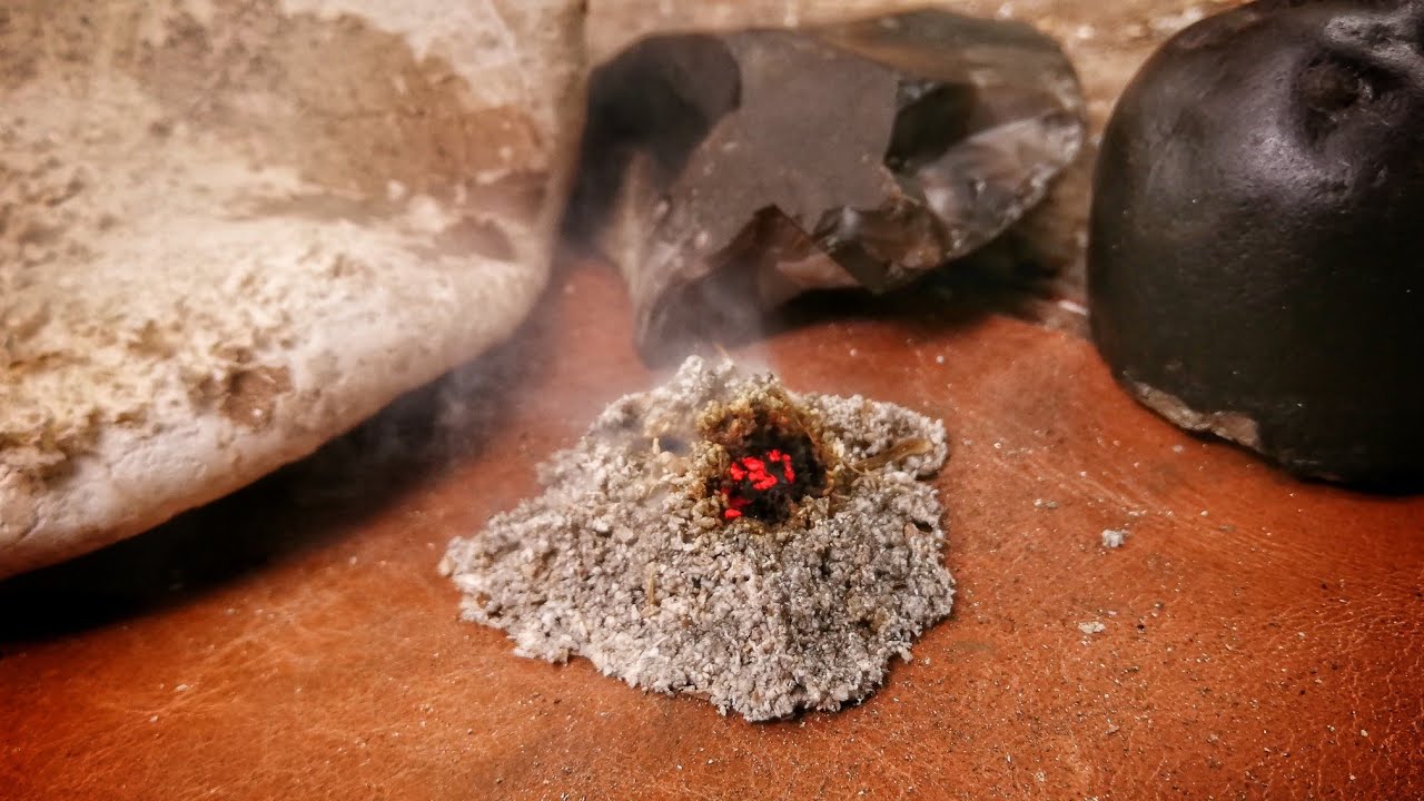 Using Birch Polypore to Make Primitive Fire!