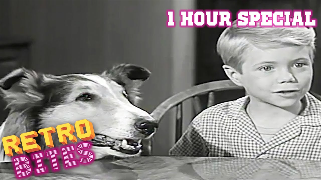 Lassie | 1 Hour Special | Full Episodes | Old Cartoons