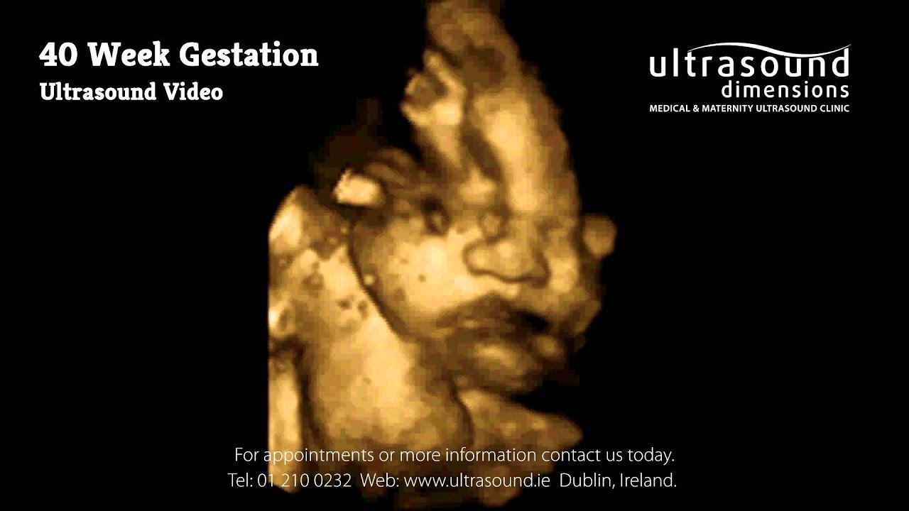 40 Weeks Pregnant - Your 40th Week Of Pregnancy