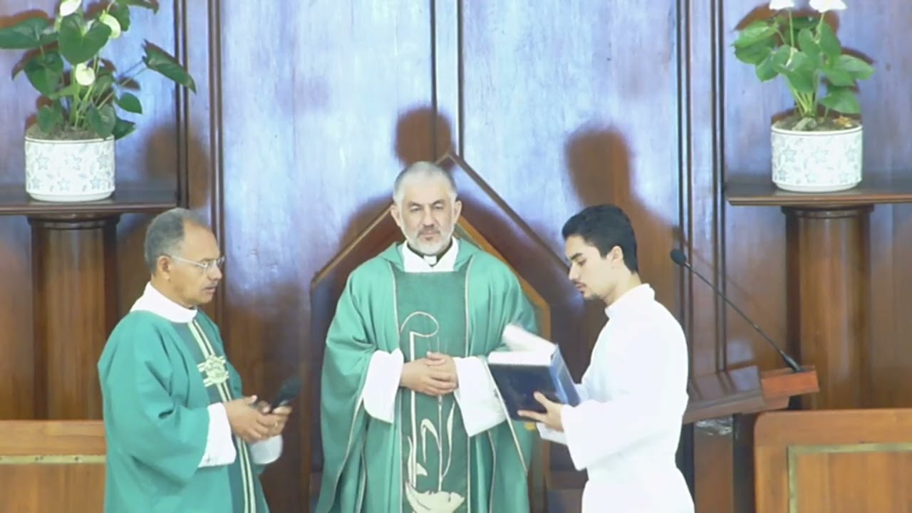 Eucaristía del domingo 1 de febrero del 2026, desde la Iglesia Santa Rosa de Lima, La Romana, R. D.