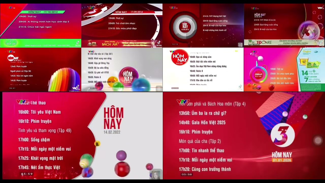VTV3 ident 2013-2026