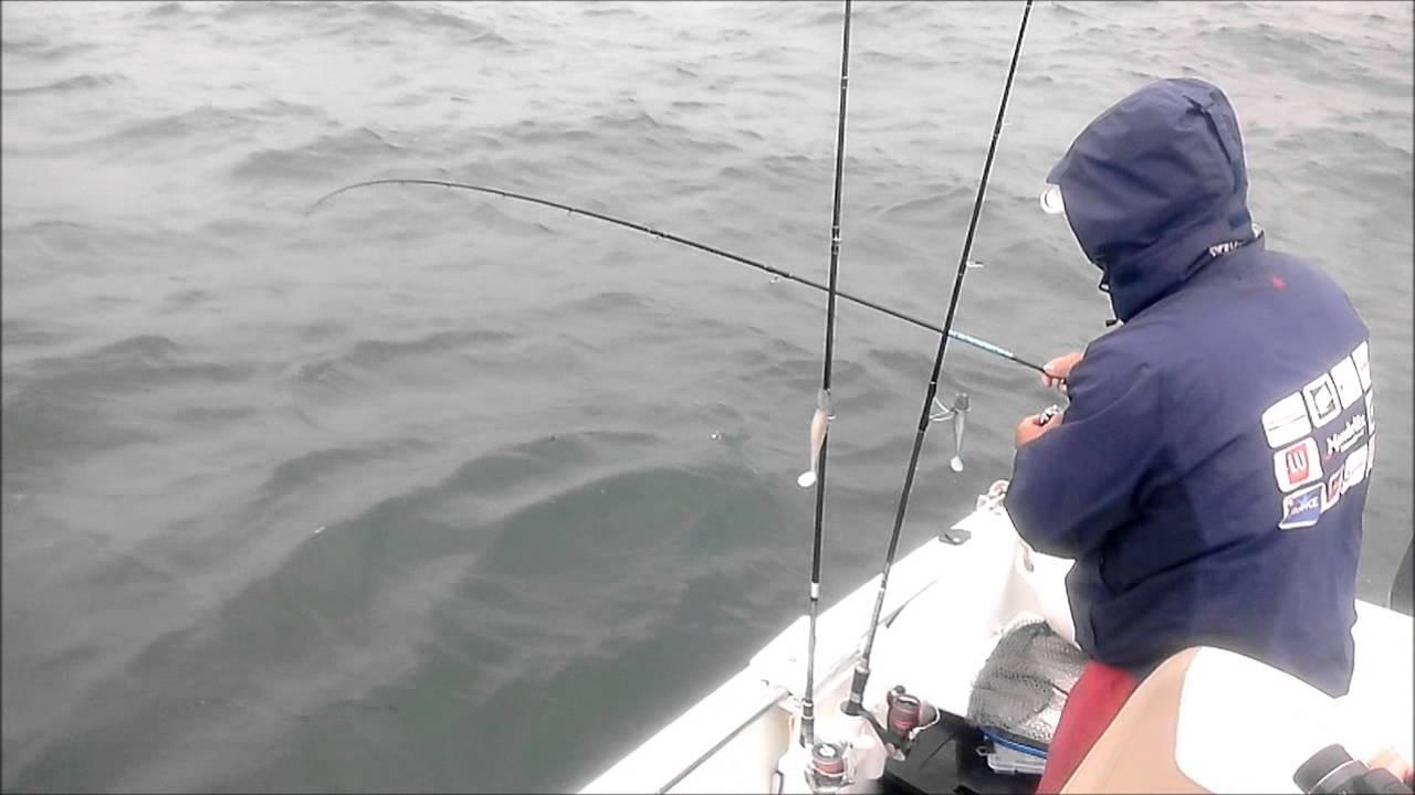 peche du bar en bretagne