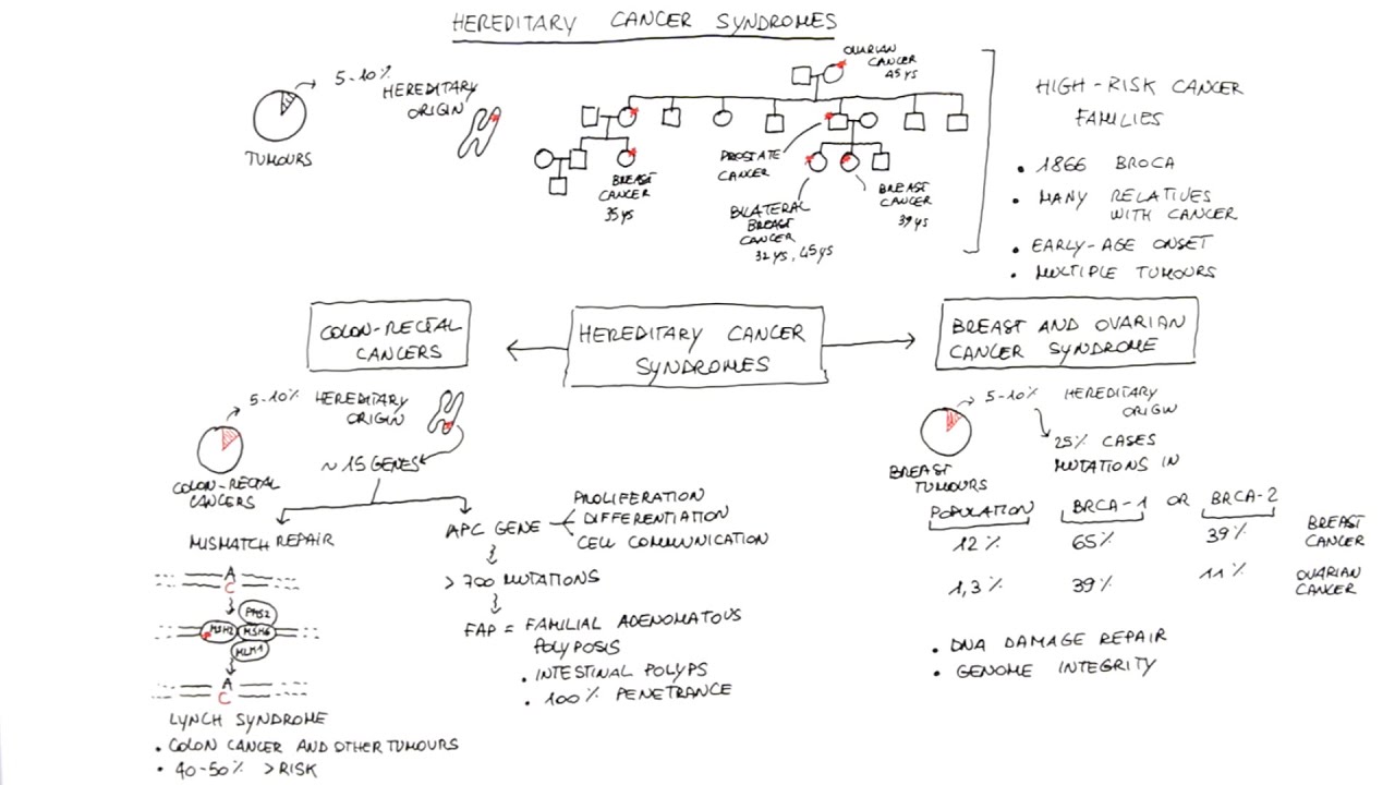 Hereditary cancer syndromes