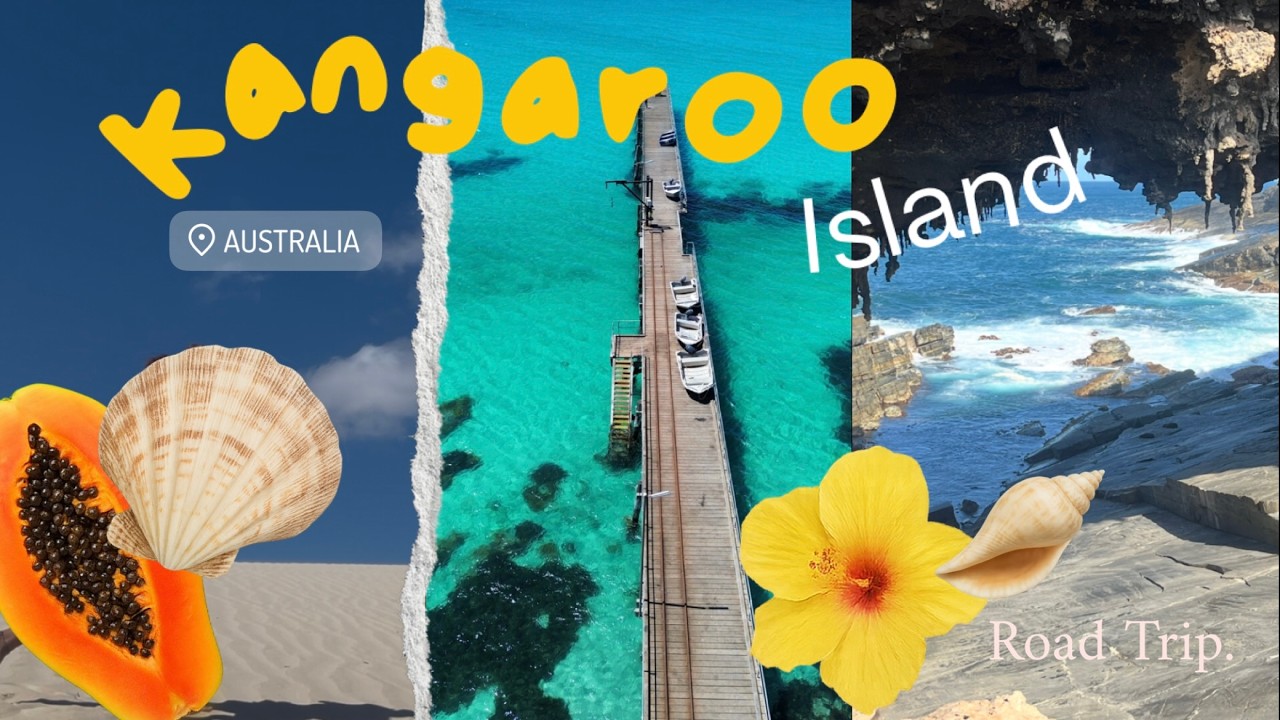 Cette île australienne paraît irréelle… Kangaroo island 🦘