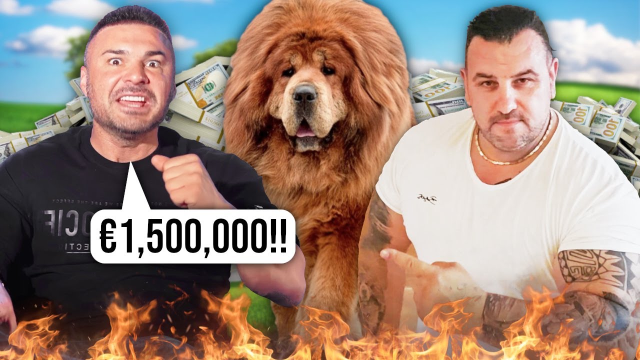 1.5M EUR. Cel mai Scump Câine din Lume e în România!