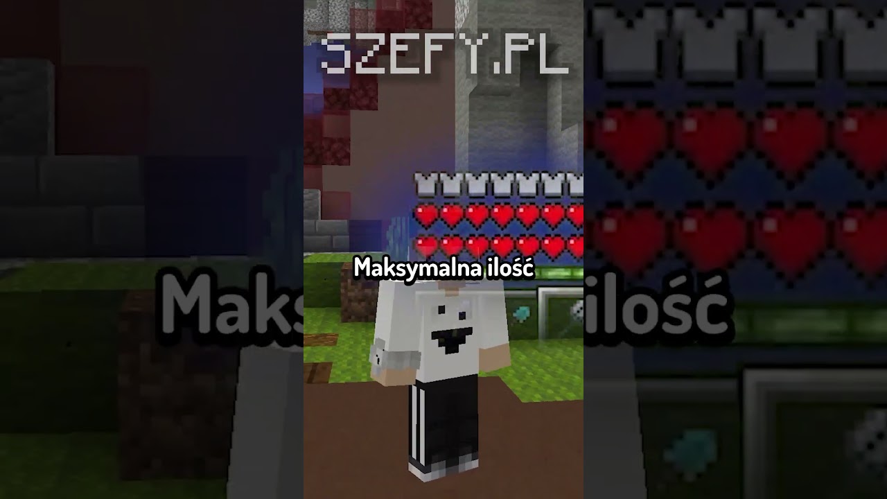 Nowy serwer Anarchia SMP jak u youtuberów!