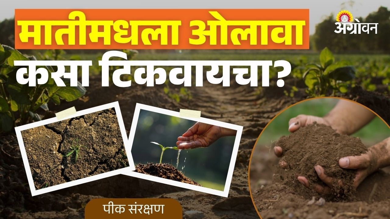 Soil Moisture: मातीची पाणी धरुन ठेवण्याची क्षमता कशी वाढवता येते? | Agrowon