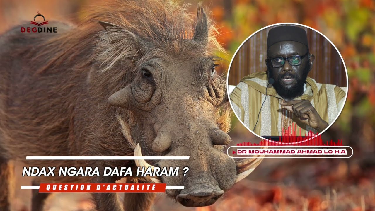 Dr Mouhammad Ahmad LO | Question d'actualité | Ndax Ngara dafa Haram ?