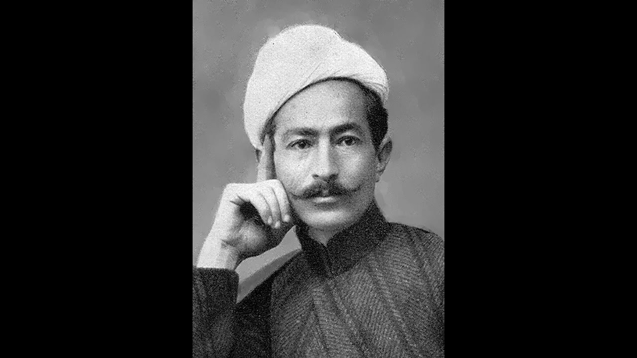 یک شاخه گل 313 افشاری