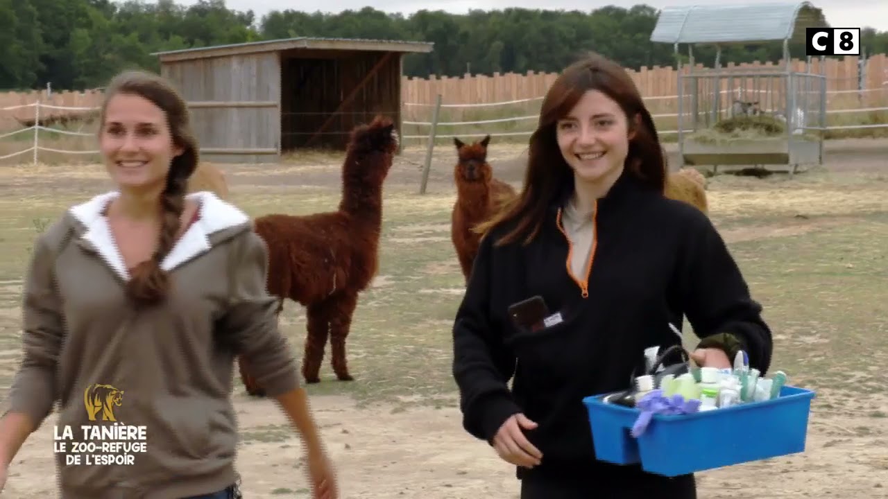 A la rencontre de  La Tanière, le Zoo-Refuge de l’espoir