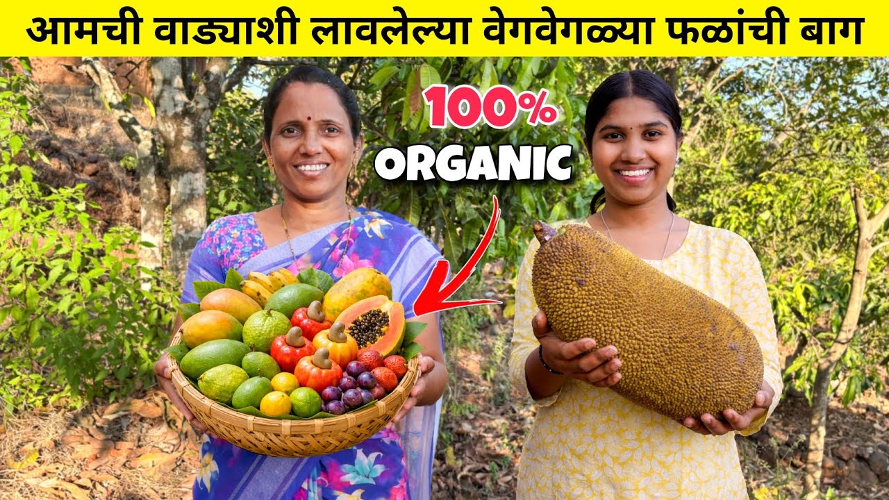 Summer Fruits in Kokan | आज गेलो आमच्या फळांच्या बागेत