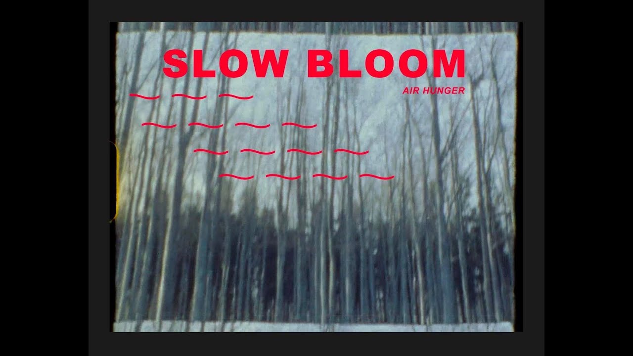 Air Hunger - Slow Bloom