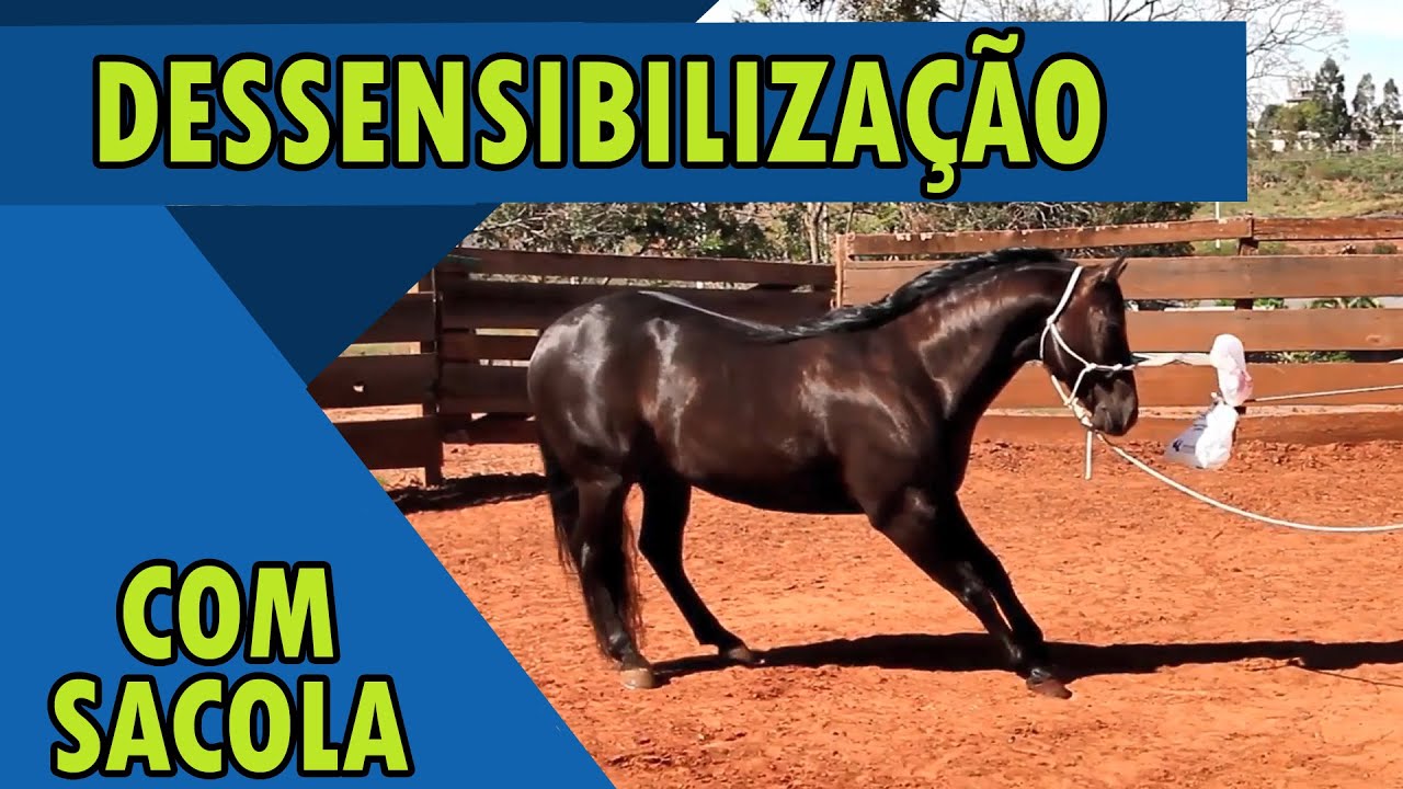 DOMA - Dessensibilização de Sacola