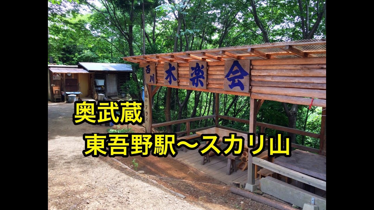 スカリ山まで  東吾野駅から  2015.06.11①
