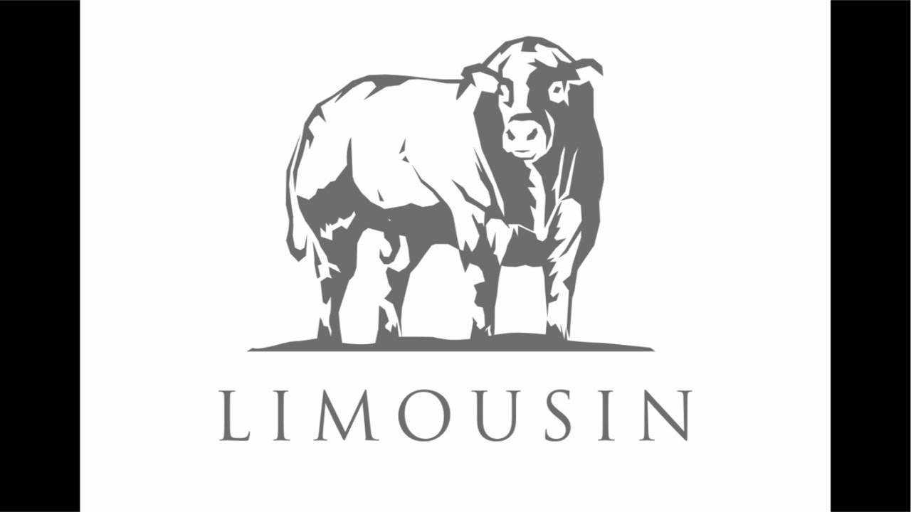 Sale of Limousin Bulls at Stirling 2.15pm on Monday 2nd February’26