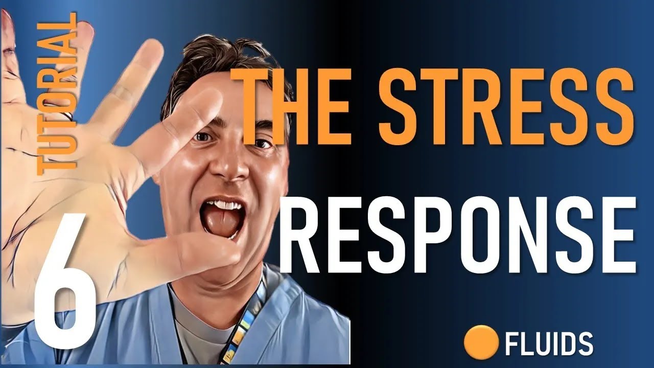 The Perioperative Stress Response