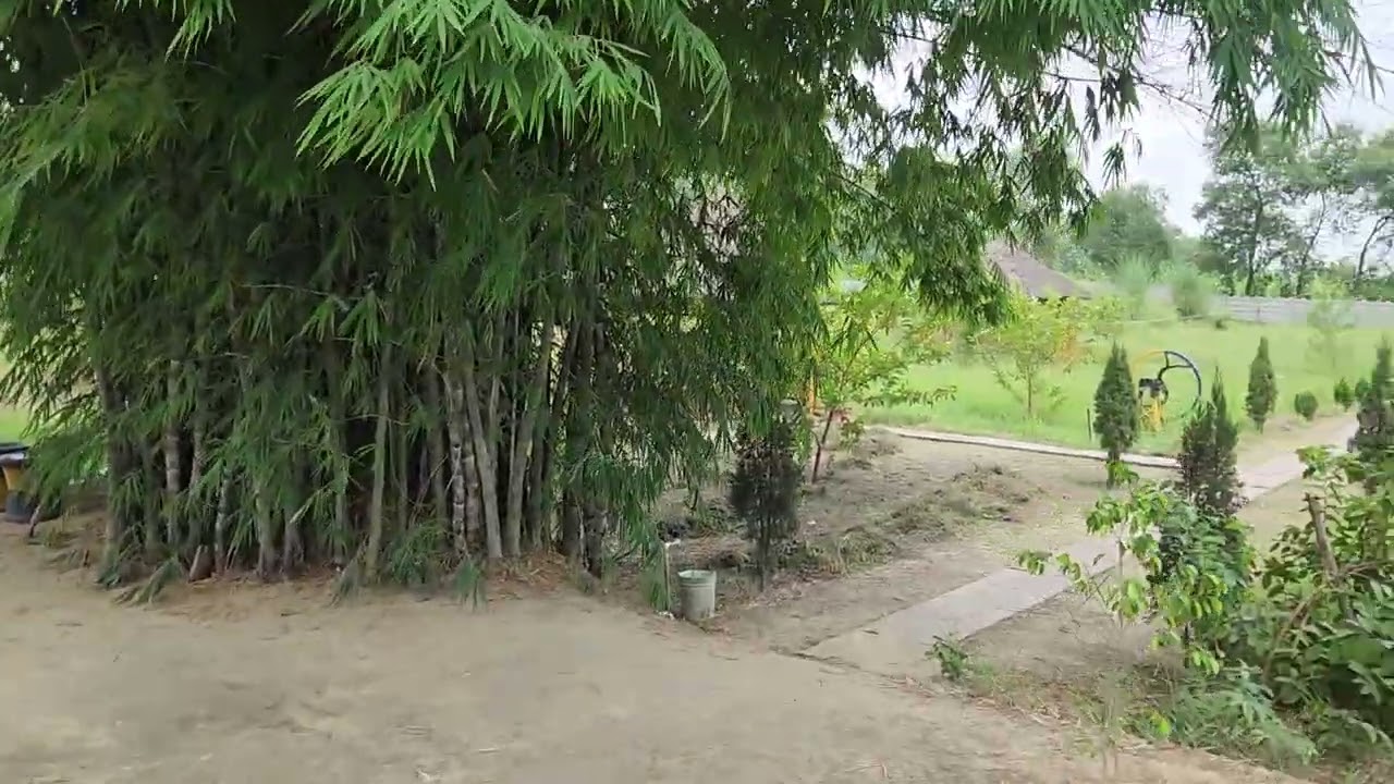 GreenLand Farm, Hastinapur for a short Trip....close to Nature