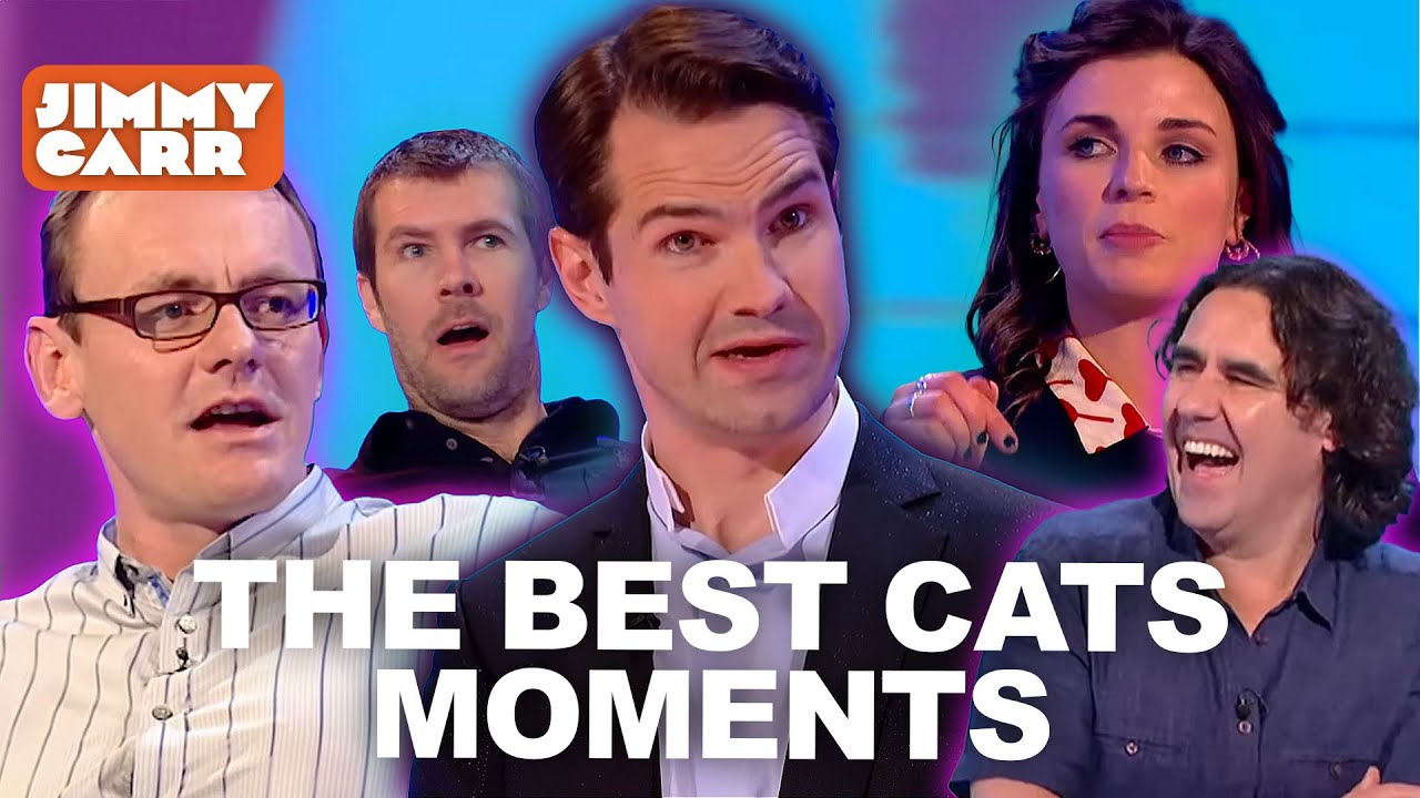The BEST Cats Moments - With Aisling Bea, Sean Lock, Micky Flanagan, Rhod Gilbert & More