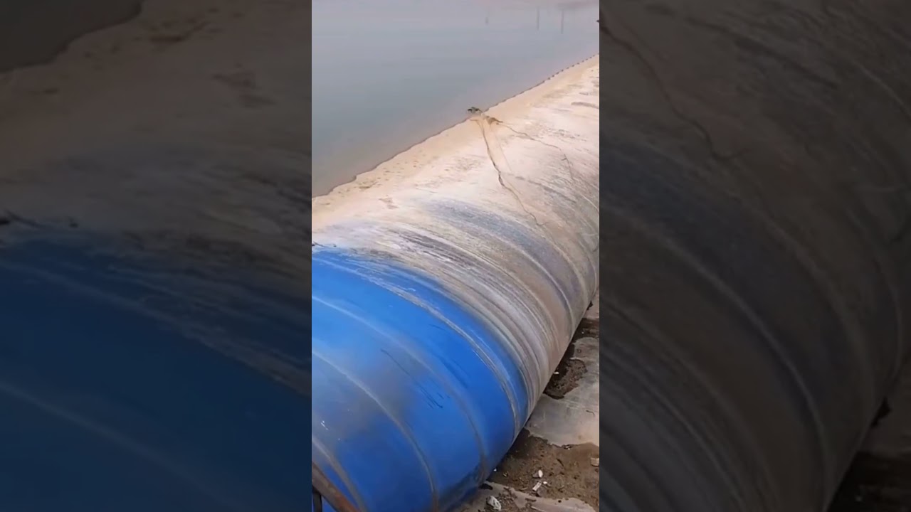 투망 던질려면 줄을 서야해요  뜰채안에 🐟가 뛰여 들어오네요 ㅎㅎ