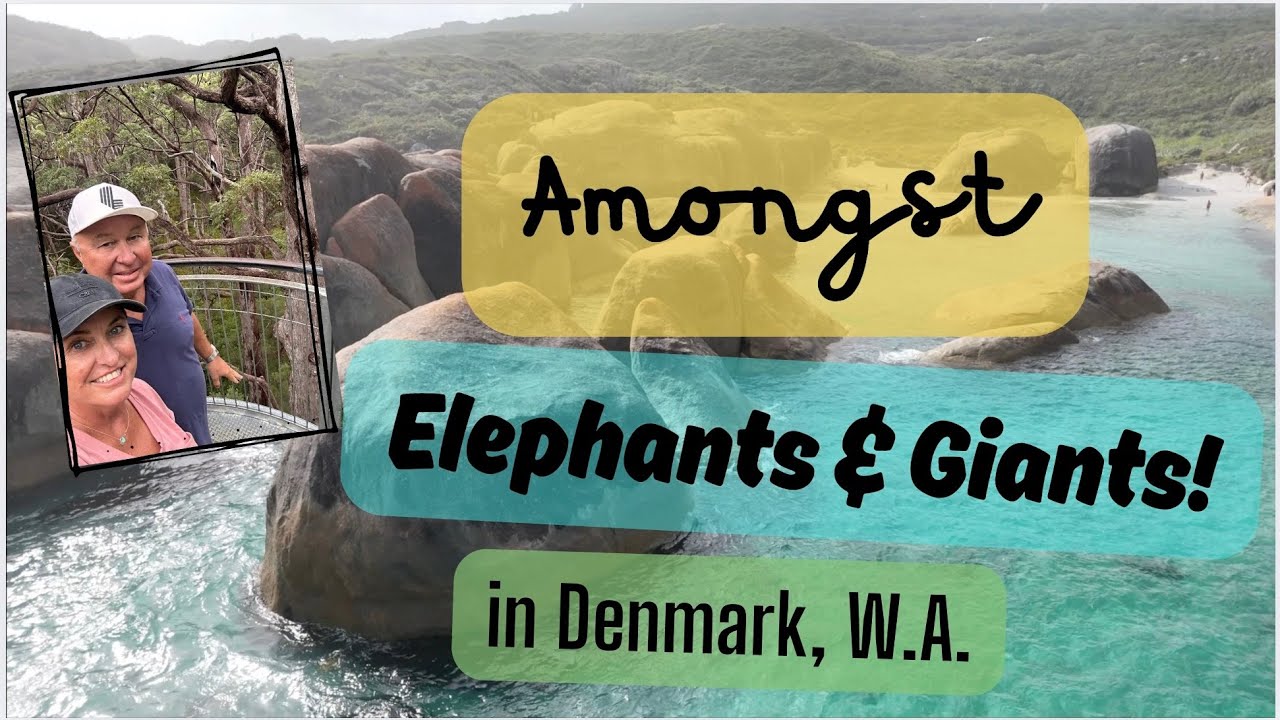 Amongst Elephants & Giants! | Exploring Denmark WA’s Natural Wonders