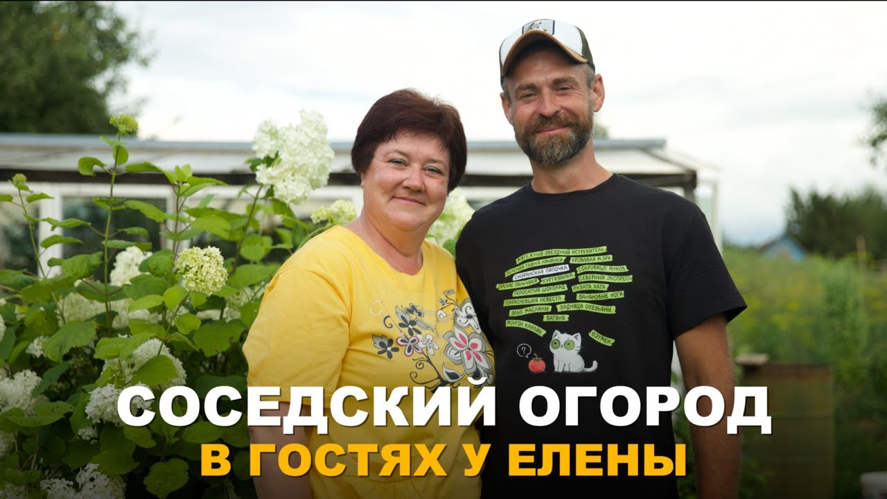 СОСЕДСКИЙ ОГОРОД. ОГОРОД НЕ МЕНЬШЕ МОЕГО. В гостях у моих родственников.