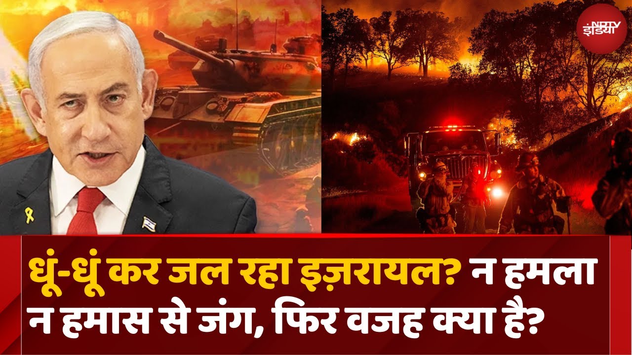 Israel Fire: इजरायल में जंगल में लगी आग हुई भयावह, Emergency की घोषणा | Netanyahu | Breaking News