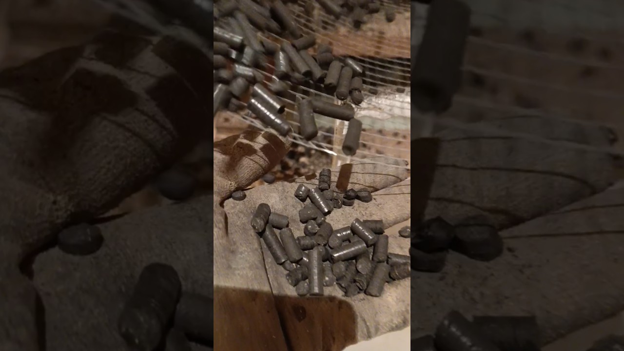 A pellet of half-burnt wood #pellet #woodpellet