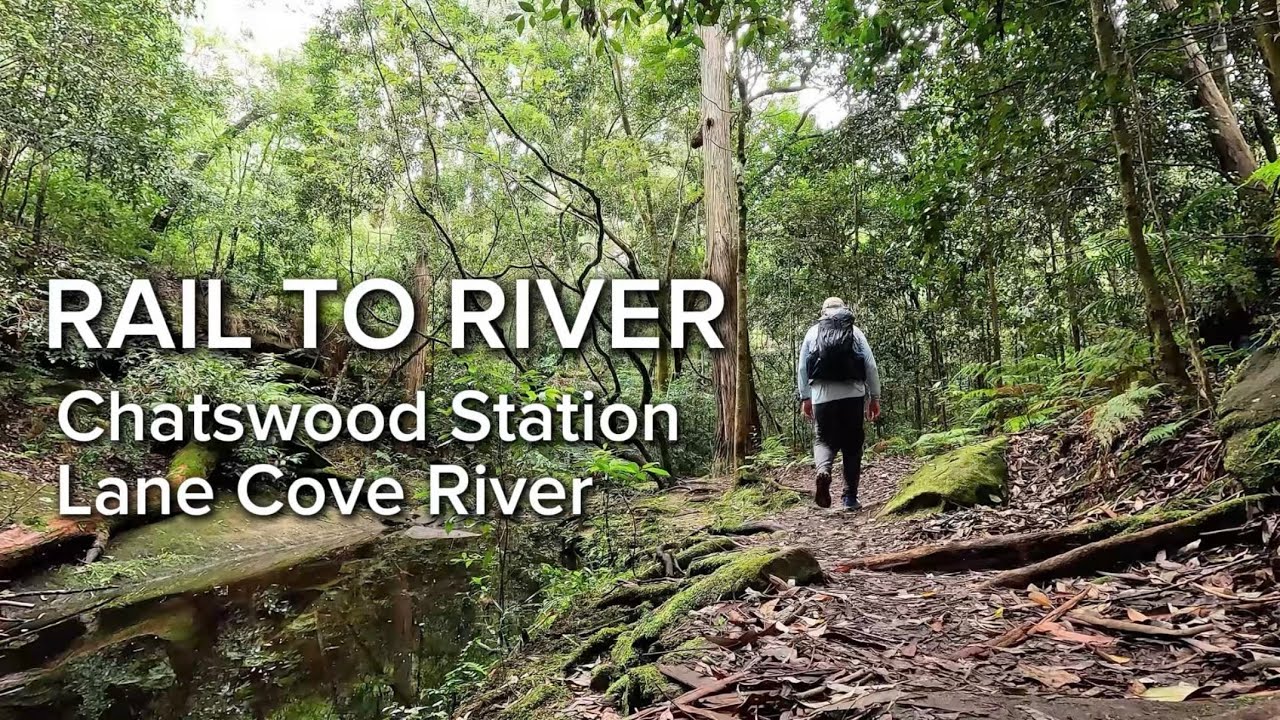 Hiking Rail to River Walk (Chatswood Station to Lane Cove River)