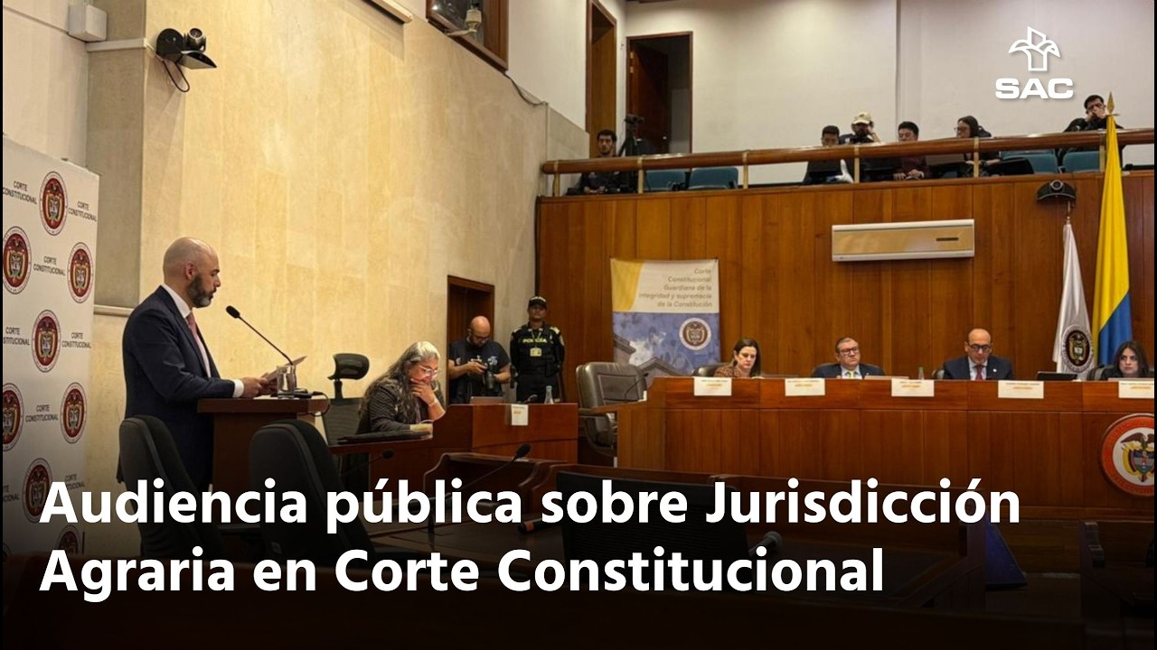 Los conflictos sobre tierras deben resolverlos los jueces | Jorge Bedoya