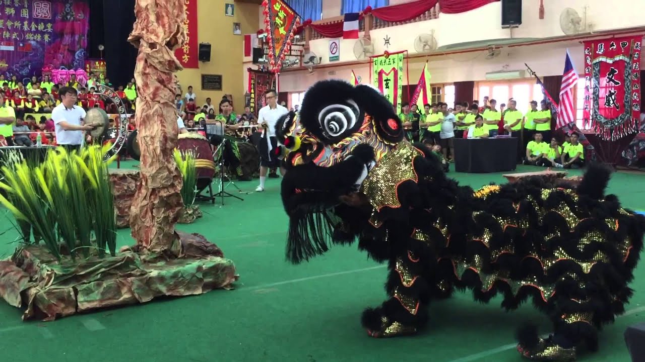 馬来西亚馬六甲馬接峇魯 红新月會龍獅團 庆祝成立 33 周年筹募自置會所基金晚宴 主瓣国际传统南獅 ( 器材陣式 ) 锦标赛 。 * 新加坡誠敬會龍獅體育會 得分 8.87 。