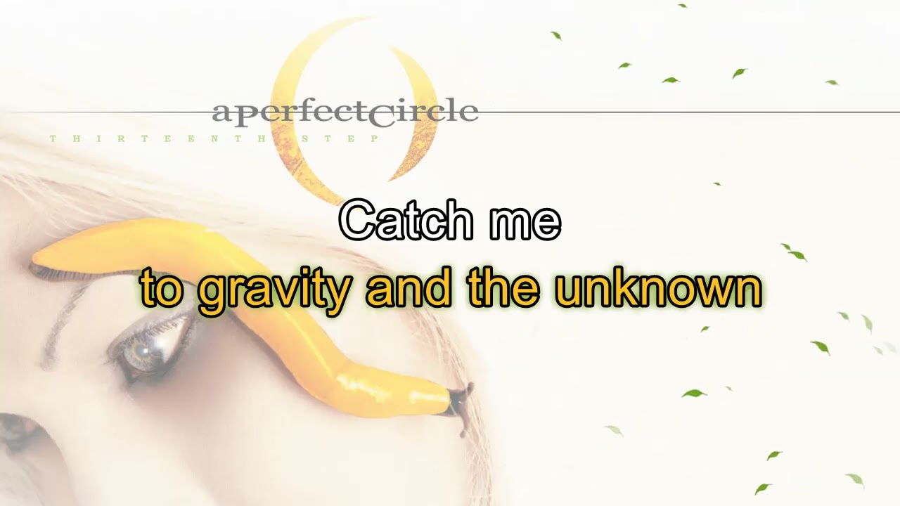 A Perfect Circle - Gravity - Karaoke Instrumental