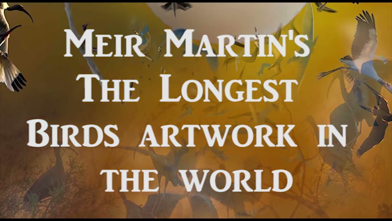 Meir Martin's creating the biggest birds artwork in the world