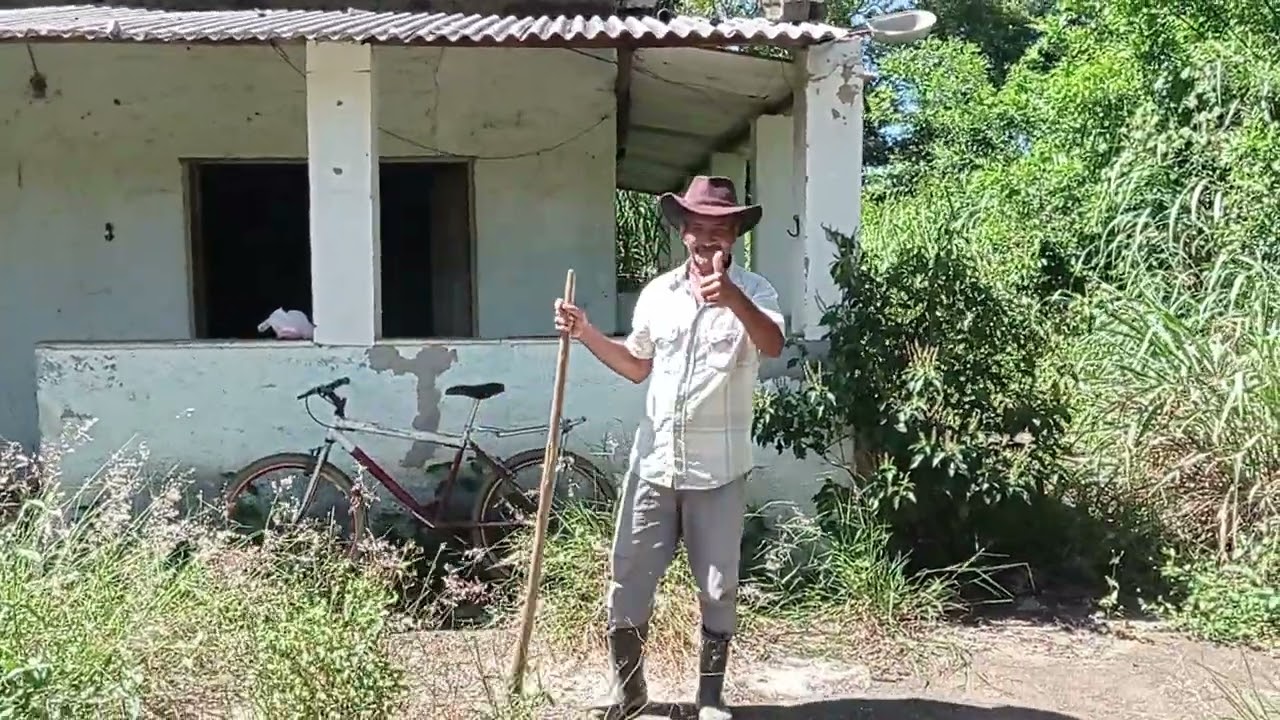 15 de fevereiro de 2026