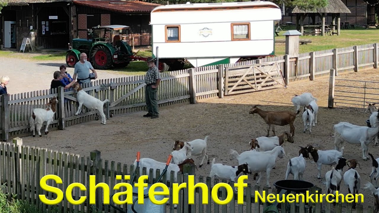 Besuch auf dem Schäferhof Neuenkirchen in der Lüneburger Heide