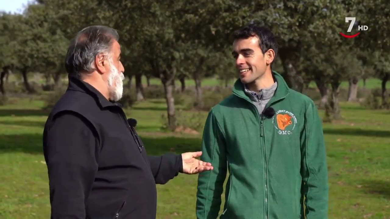 El Arcón (458).- Tres caras de la dehesa salmantina